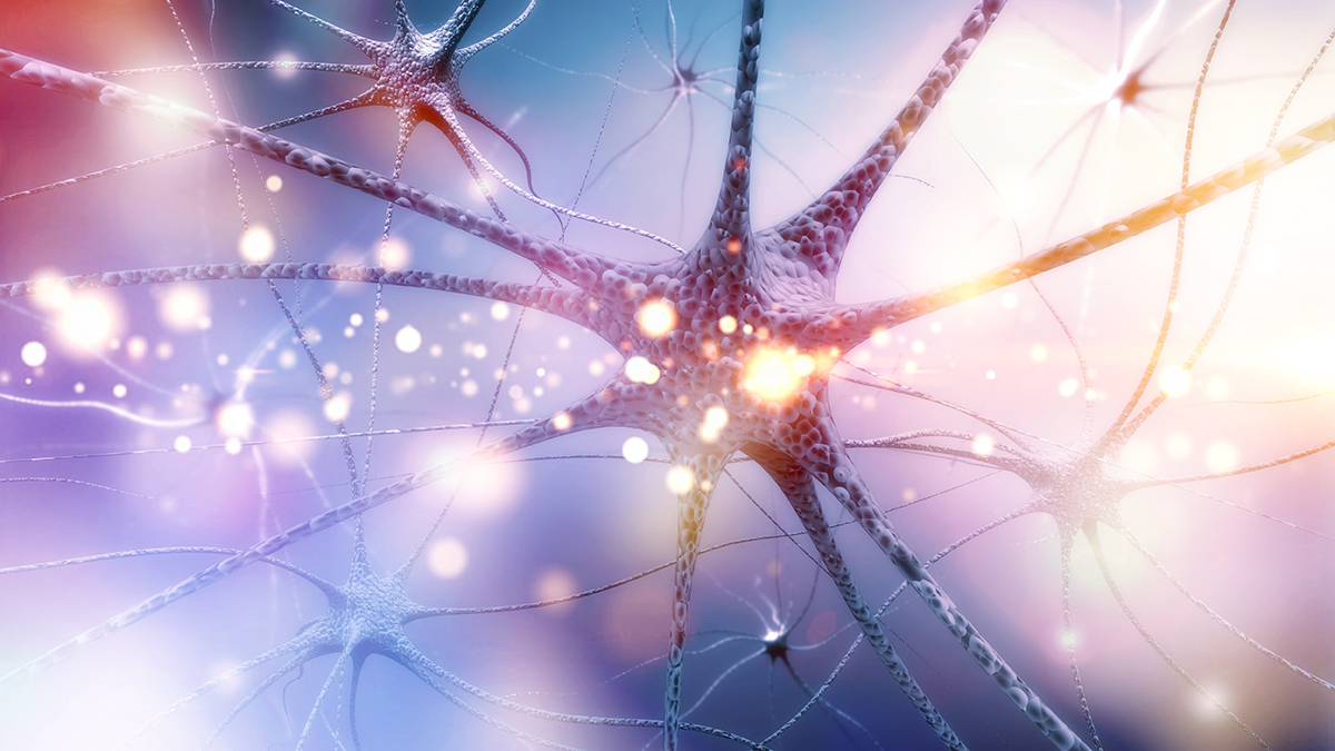 neuropsiquiatría y salud mental
